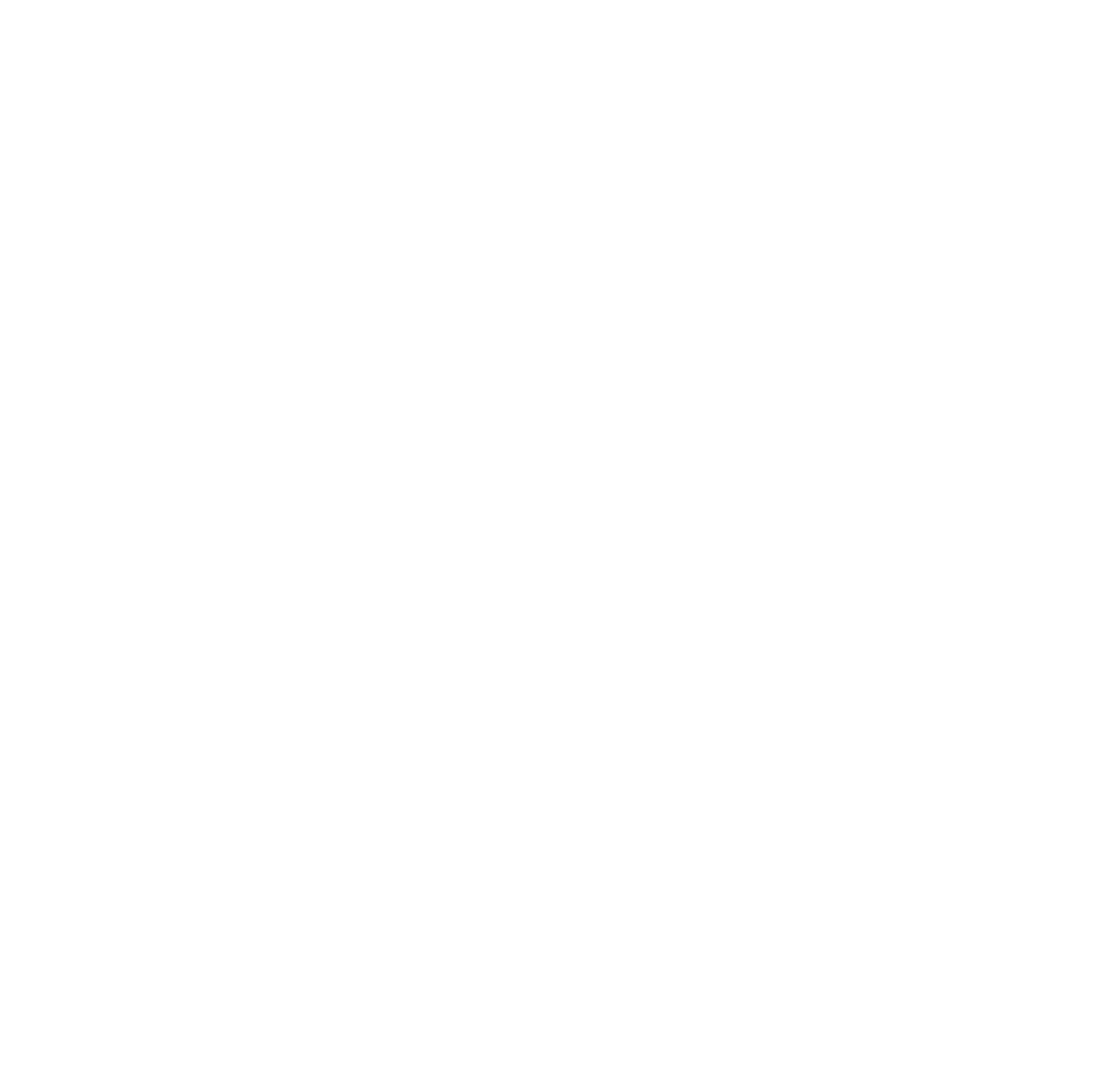 Software Cornwall White Logo